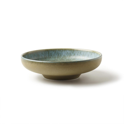 Салатник зелено-синяя, полуматовая, 23,1 см (JET, арт. H12891-SH04)