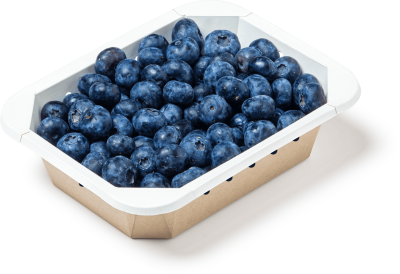 Контейнер OSQ OCTOBOX 400 (K), 161х126х45, Крафт / Белый (60/уп.) (660/кор.) JET